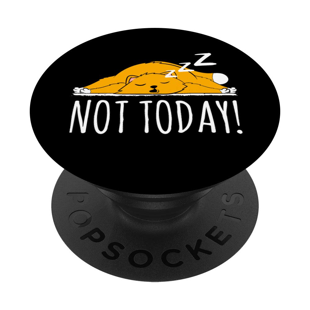 Funny Cat Design PopSockets Swappable PopGrip - Cute 'Not Today' Cat Phone Grip & Stand for iPhone, Samsung | Perfect Gift for Cat Lovers, Office Desk & Car Use