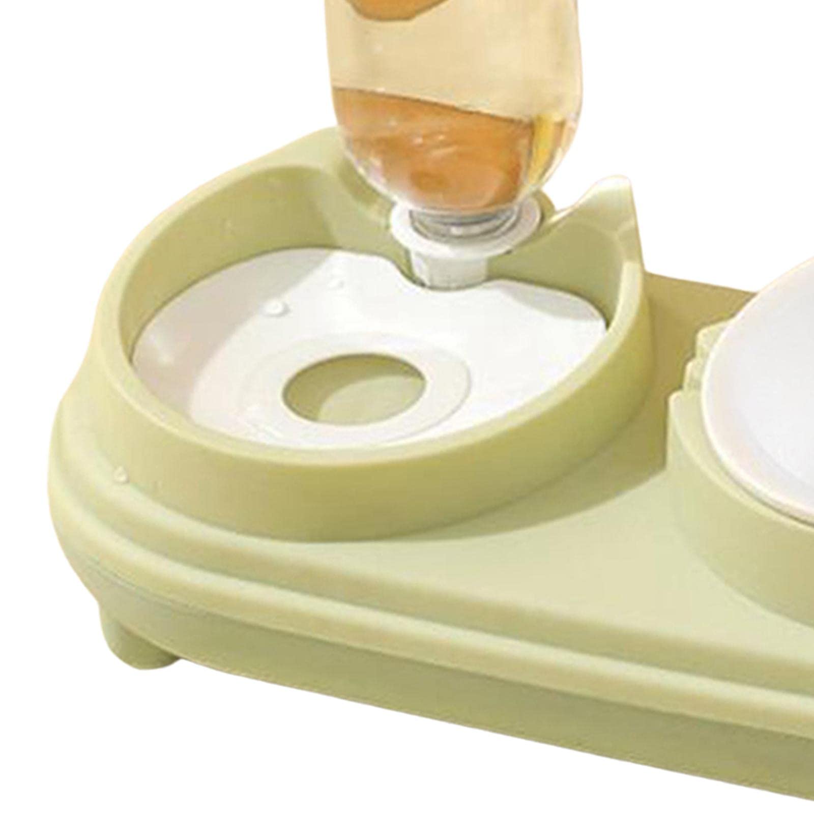SECRET DESIRE Pet Drinking Fountain - Tilted Cat Food Bowl for Small & Medium Dogs, Rabbits - Green - Perfect for Indoor Feeding & Hydration Station