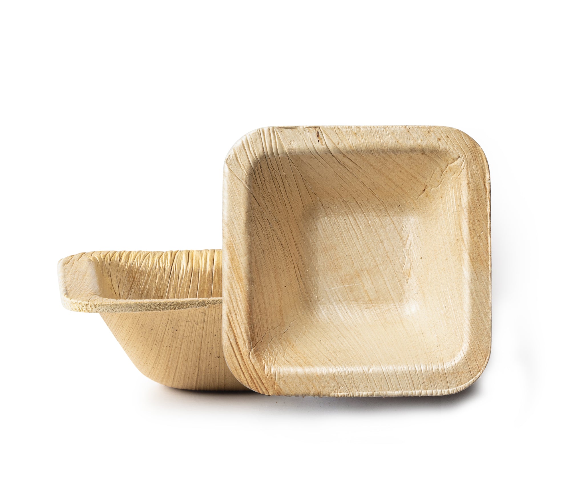 Eco-Friendly 100% Natural Disposable Palm Leaf Plates - 10 Pack Biodegradable Compostable Rectangle Dinnerware for Parties, Picnics & Outdoor Events