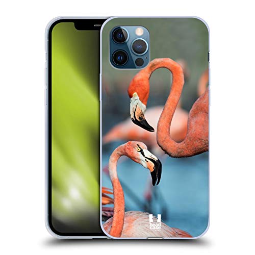 Two Great Flamingos