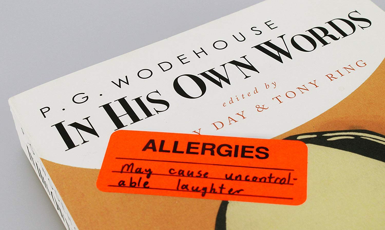Hybsk Fluorescent Red Allergy Alert Stickers - 1