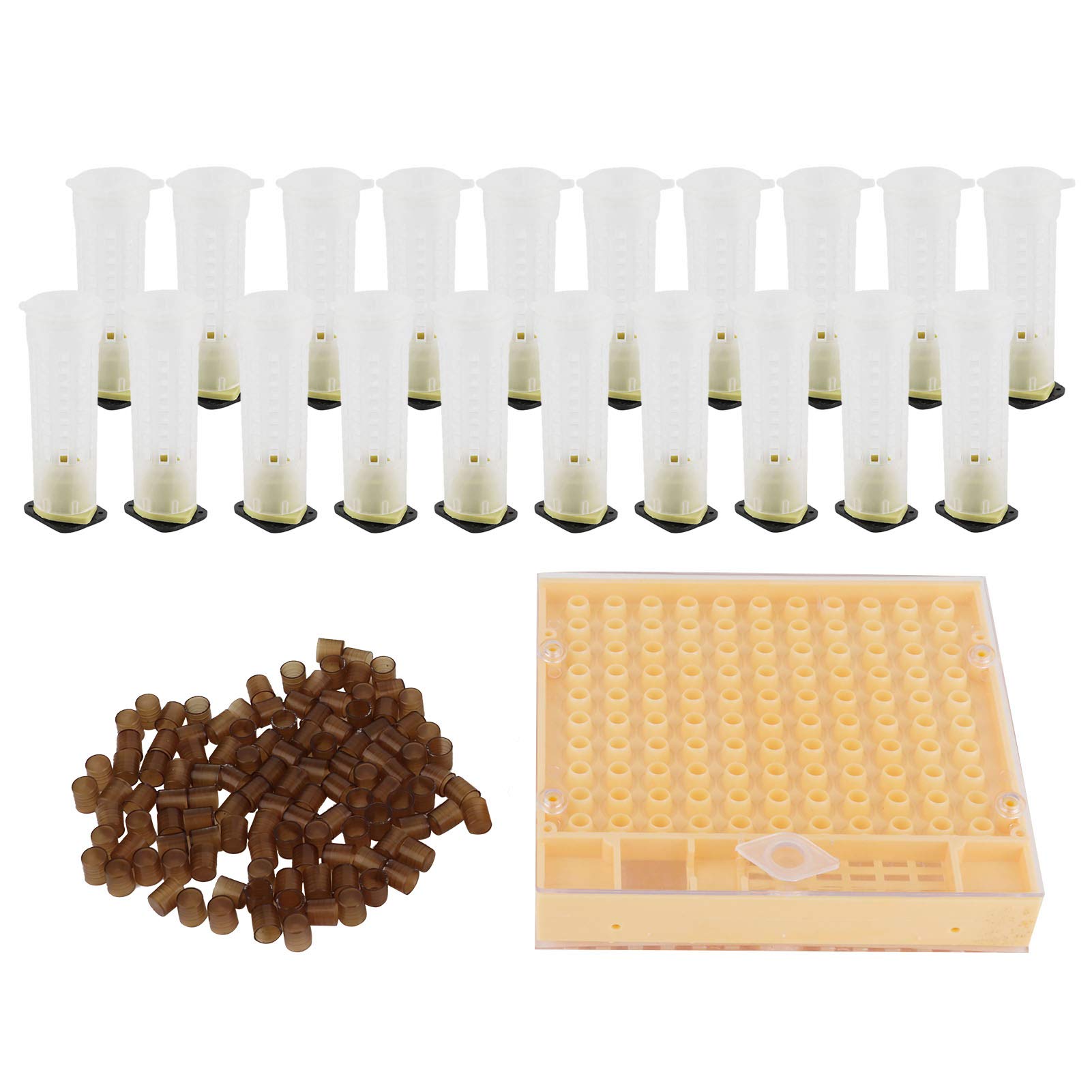 Tomotato Queen Bee Rearing System Kit - Plastic Breeding Cell Cup, Bee Breeding Box & Grafting Tools for Beekeeping | Perfect for Hive Management & Queen Rearing in Backyard Apiaries