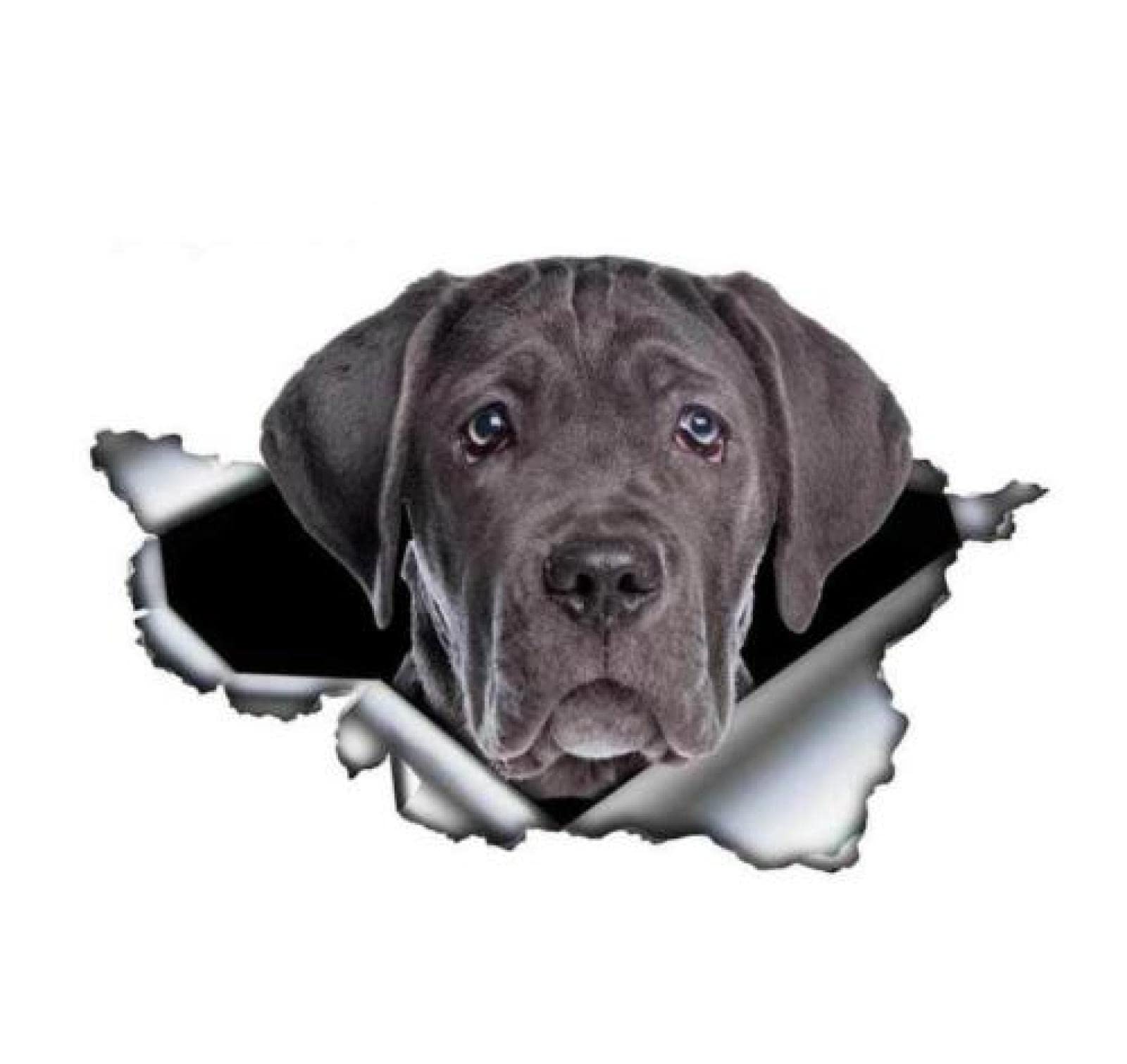 Funny 2Pcs 15Cm Black Cane Corso Car Stickers - Reflective Waterproof Dog Decals for Cars, Trucks & Windows | Perfect for Pet Lovers & Car Enthusiasts | Great for Personalizing Your Vehicle & Showing Off Your Love for Dogs