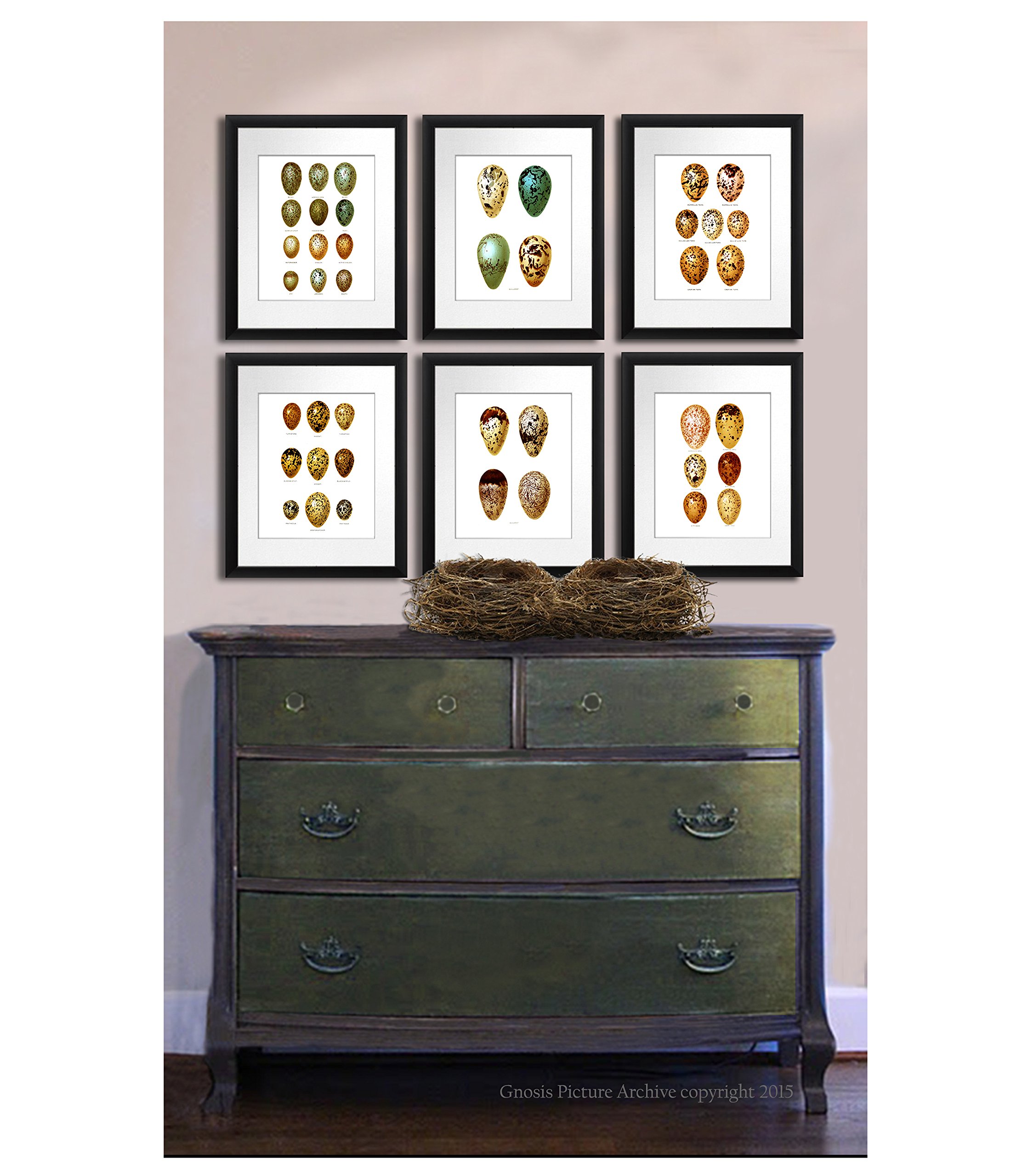 Easter Decorations - Set of 6 Bird Eggs Wall Art Prints, Unframed Home Decor for Easter, Spring & Nursery Room - Perfect for Living Room, Bedroom, Kitchen & Holiday Party Decorations