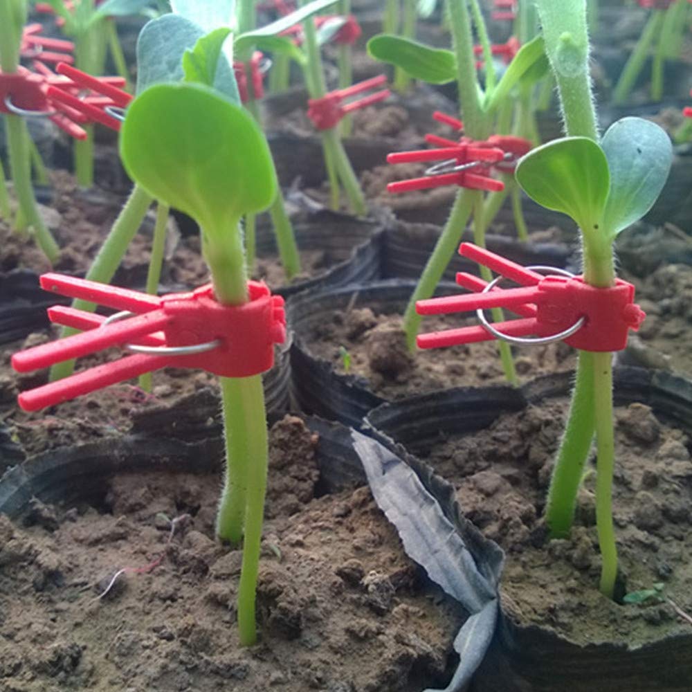 100PCS Plastic Round Mouth Grafting Clips for Plants - Gardening Tool for Cucumber, Eggplant, Tomato, Watermelon - Ideal for Home Garden, Greenhouse & Plant Propagation