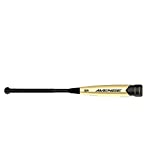 USSSA Certified Avenge 2 Baseball Bat - 3/4 Barrel, 10oz Weight (Model L148G) | Perfect for Youth League Games & Training Practice