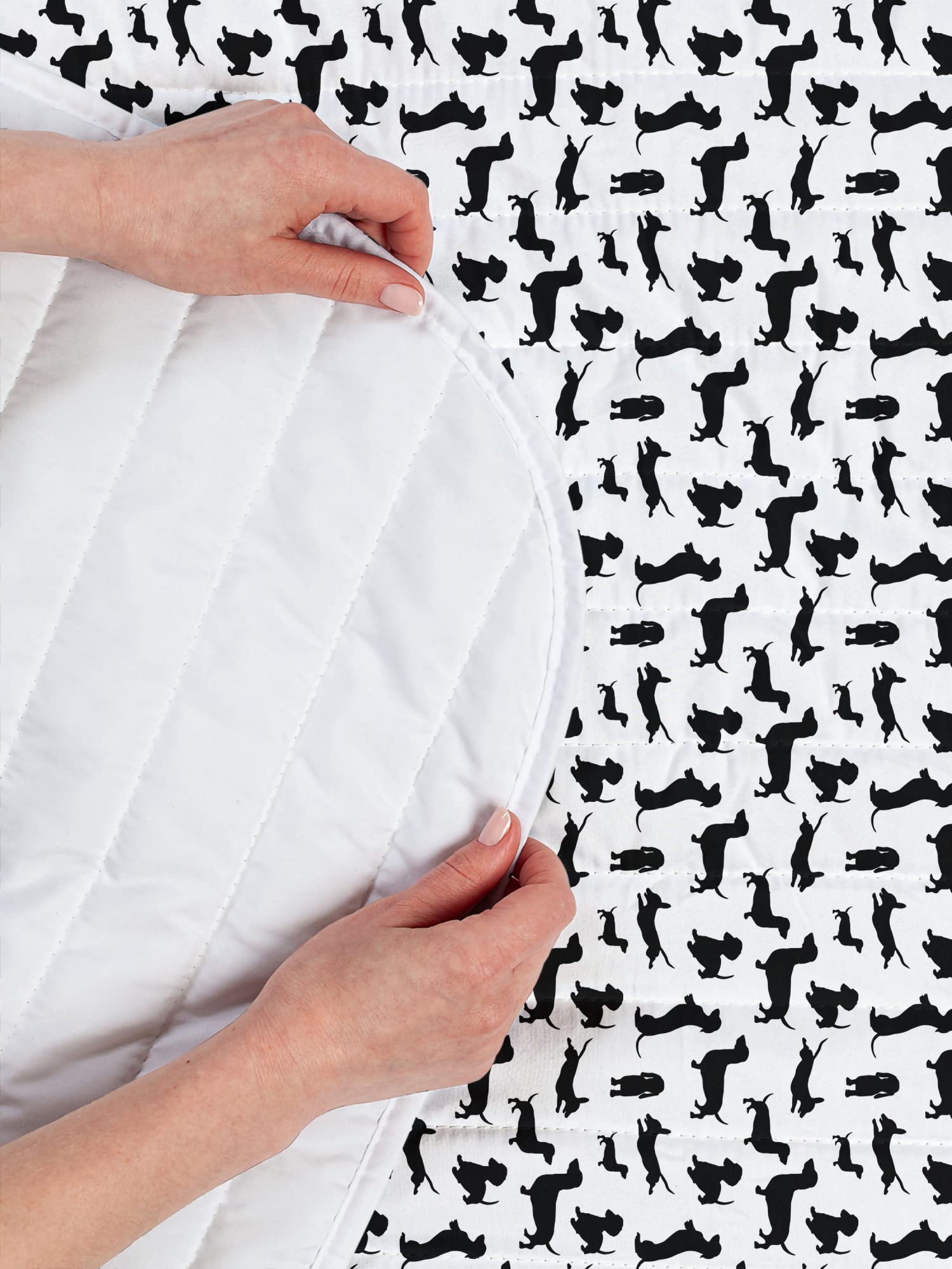 Ambesonne Dachshund Dog Lover Microfiber Bedspread Set - Twin Size Black & White Abstract Dog Print Comforter with Pillow Sham | Soft Pet Themed Bedding for Dog Owners | Perfect for Bedrooms, Dorm Rooms & Pet-Friendly Spaces