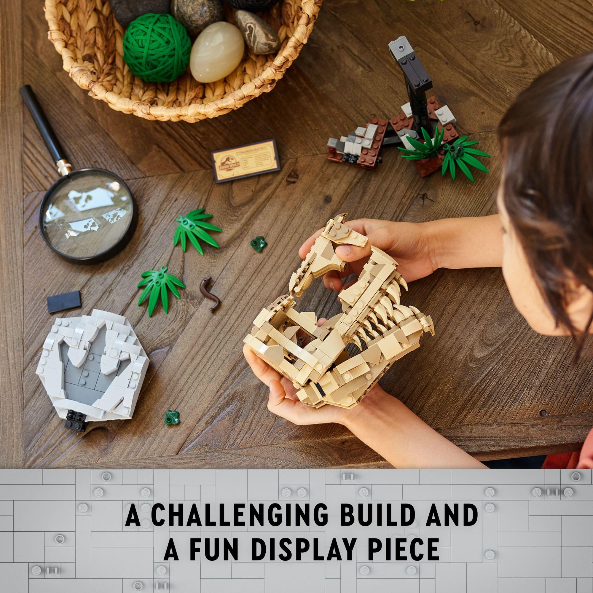 LEGO Jurassic World Dinosaur Fossils: T. rex Skull Building Kit - STEM Educational Dinosaur Toy for Kids, Boys & Girls - Authentic Skeleton Model Set with Bones - Perfect Gift for Jurassic Park Movie Fans (Set 76964) - Fun for Playtime, Learning & Collecting