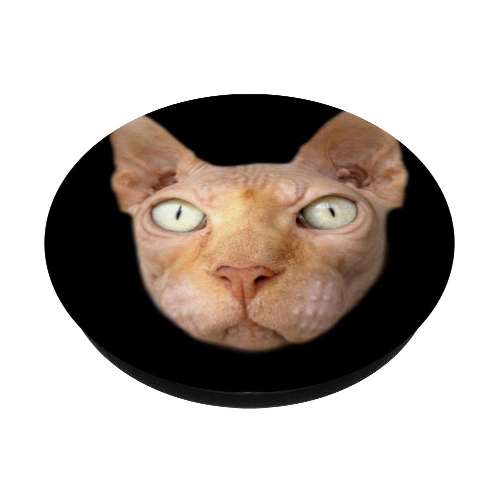 Egyptian Sphinx Face Cat Lover Gift - Unique Holiday Deals for Cat Enthusiasts | Perfect for Christmas, Birthday & Housewarming Gifts