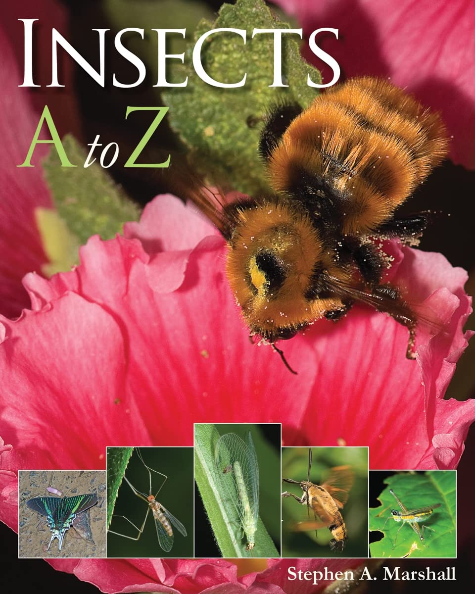 Insects A to Z Book - Kids' Nature Guide for Learning