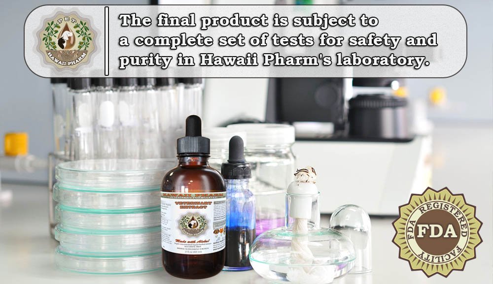 HawaiiPharm Natural Joint Support Liquid Extract for Pets - Alcohol-Free Herbal Supplement for Dogs & Cats (4 oz, Pack of 15) - Supports Mobility & Comfort for Senior Pets with Joint Issues