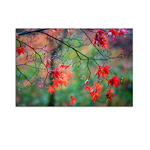 Red Green Décor