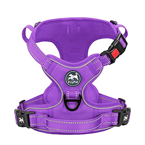 Purple(Matching Trim)