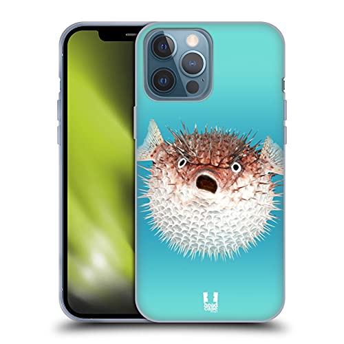 Frontal View Of Porcupinefish