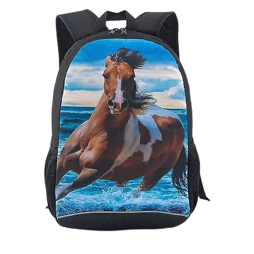 Steed