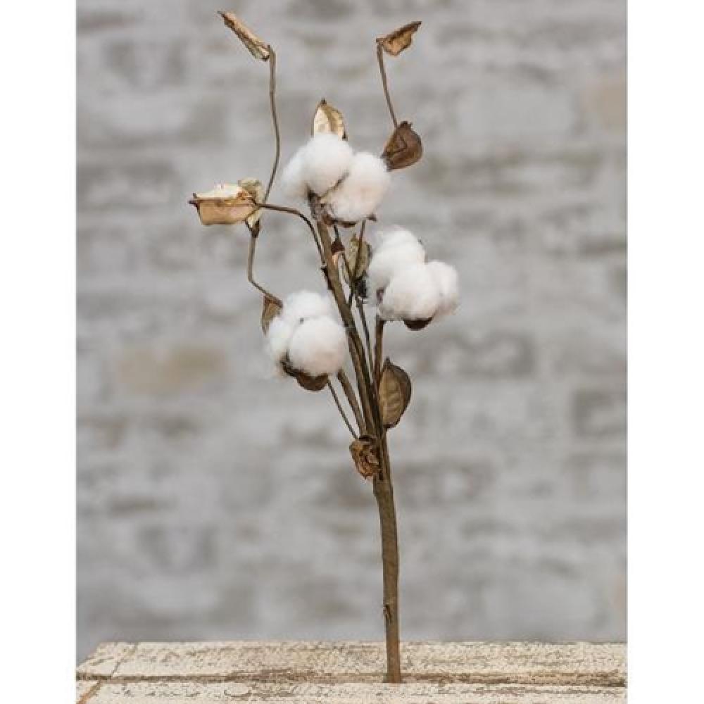 12-Pack Cotton Picks with Shells - Premium Cotton Swabs for Makeup, Nails & First Aid - Ideal for Beauty, Crafts & Personal Care