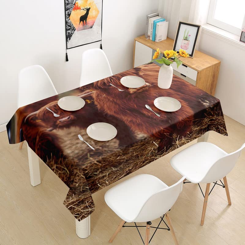 Highland Cattle Tablecloth - Brown Cow Print Table Cover for Kitchen, Dining Room, Farmhouse Decor - Western Themed Funny Animal Tablecloth for Kids, Teens & Adults - 55