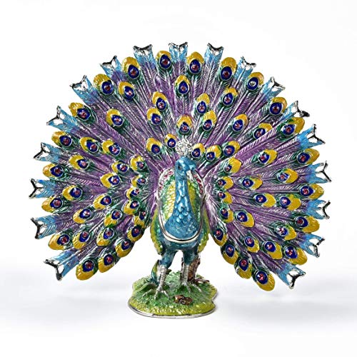 Peacock with Spread Feathers