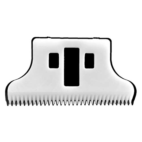 Ceramic Blade Replacement for Detailer - High Precision Cutting Tool for Automotive Detailing, DIY Projects & Crafting