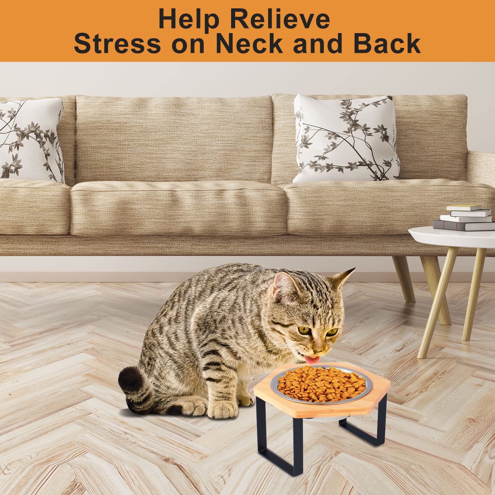 Petmolico Raised Cat Bowls Set of 3 - Elevated Anti-Vomiting Stainless Steel Cat Food Bowls with Metal Stand for Healthy Digestion | Perfect for Kittens, Adult & Senior Cats at Home