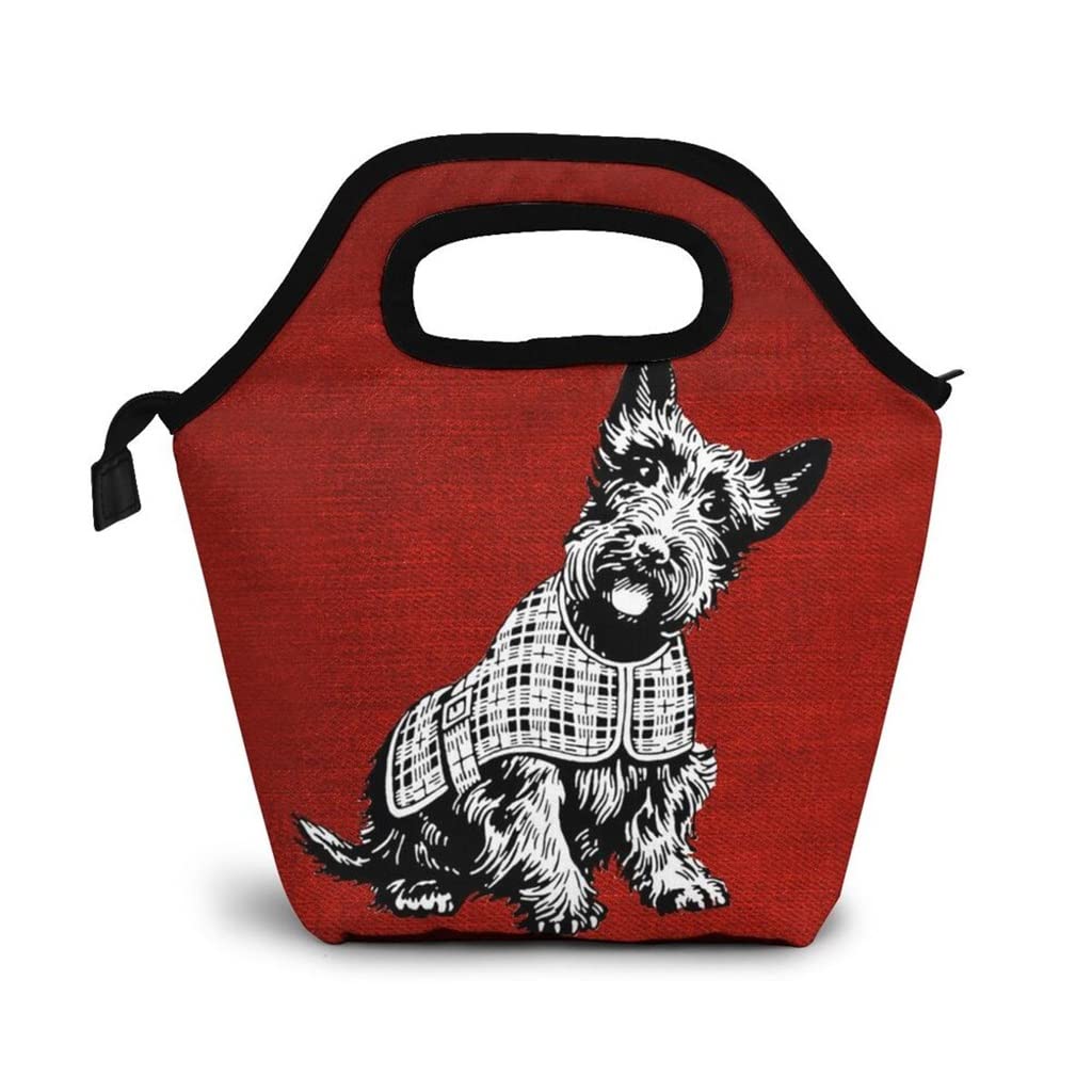 EODNSOFN Insulated Cooler Lunch Bag for Women & Kids - Waterproof Thermal Picnic, Travel & Breakfast Organizer - 30x18x13cm (Red) - Perfect for School, Work, Beach & Outdoor Activities