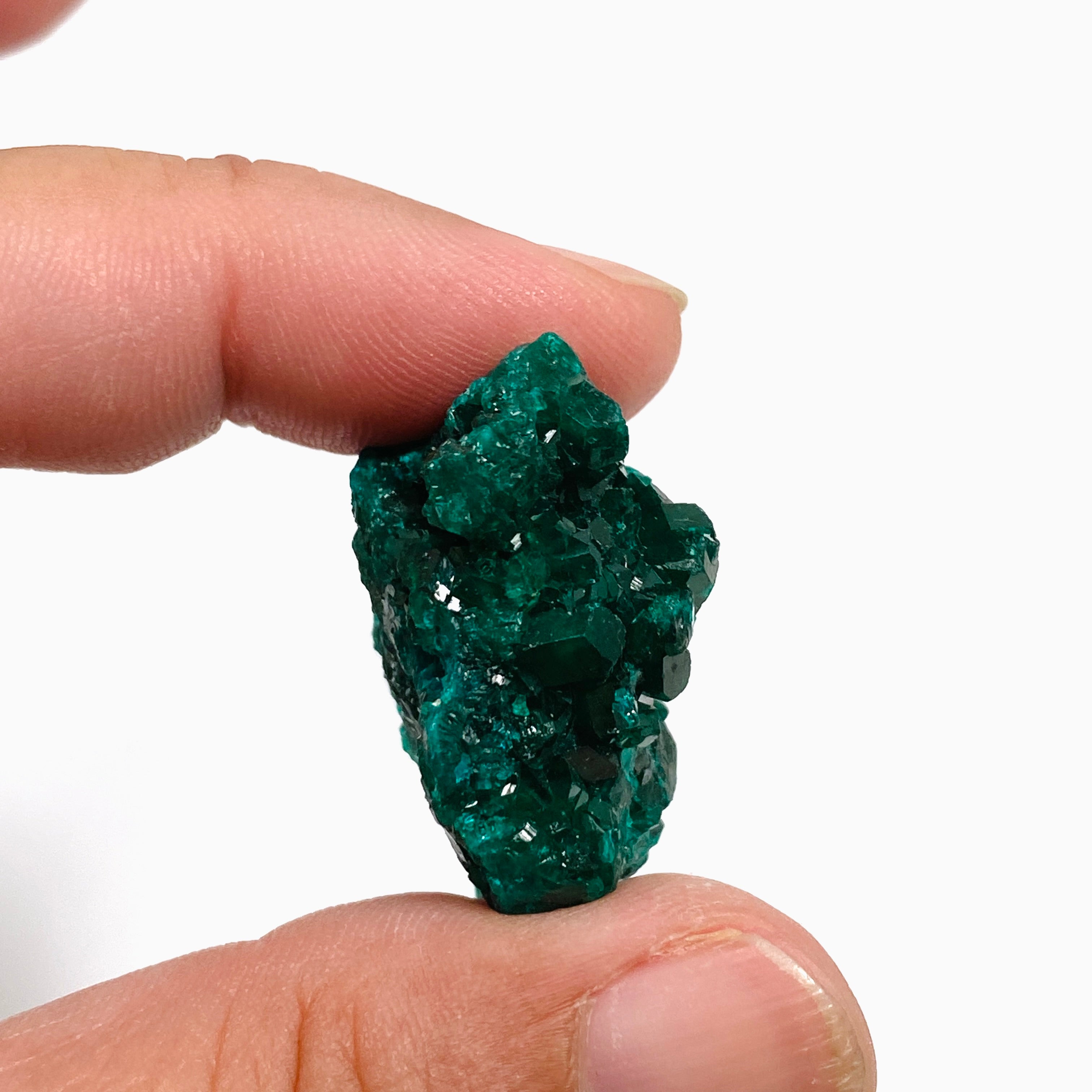 Natural Dioptase Crystal Specimen - DIOPS 06 | Rare Green Mineral Collection for Display, Healing & Meditation | Perfect for Home Decor, Gift & Crystal Enthusiasts