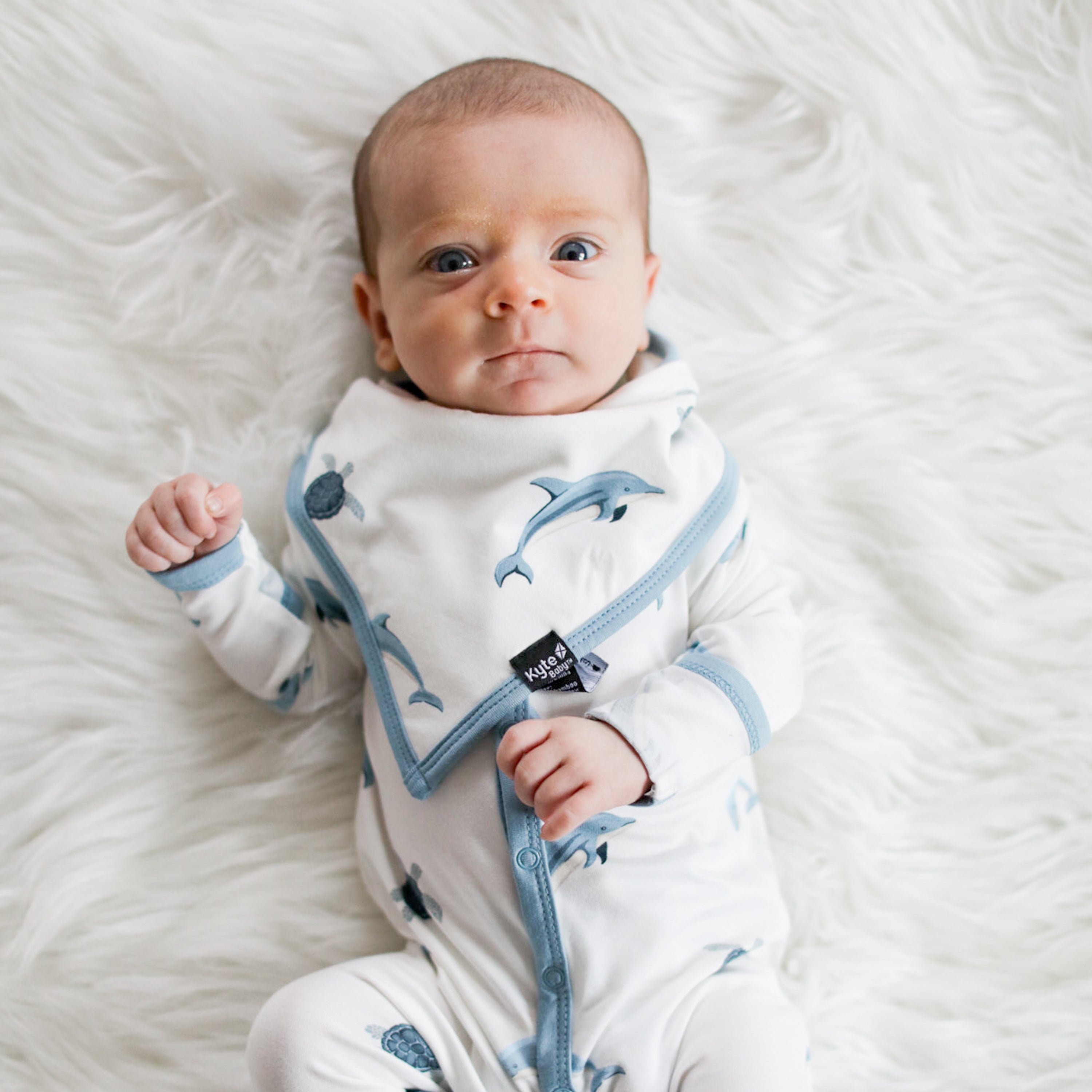Adorable Dolphin Print Baby Bib - Soft & Absorbent for Mess-Free Feeding - Perfect for Infants & Toddlers at Home or On-the-Go
