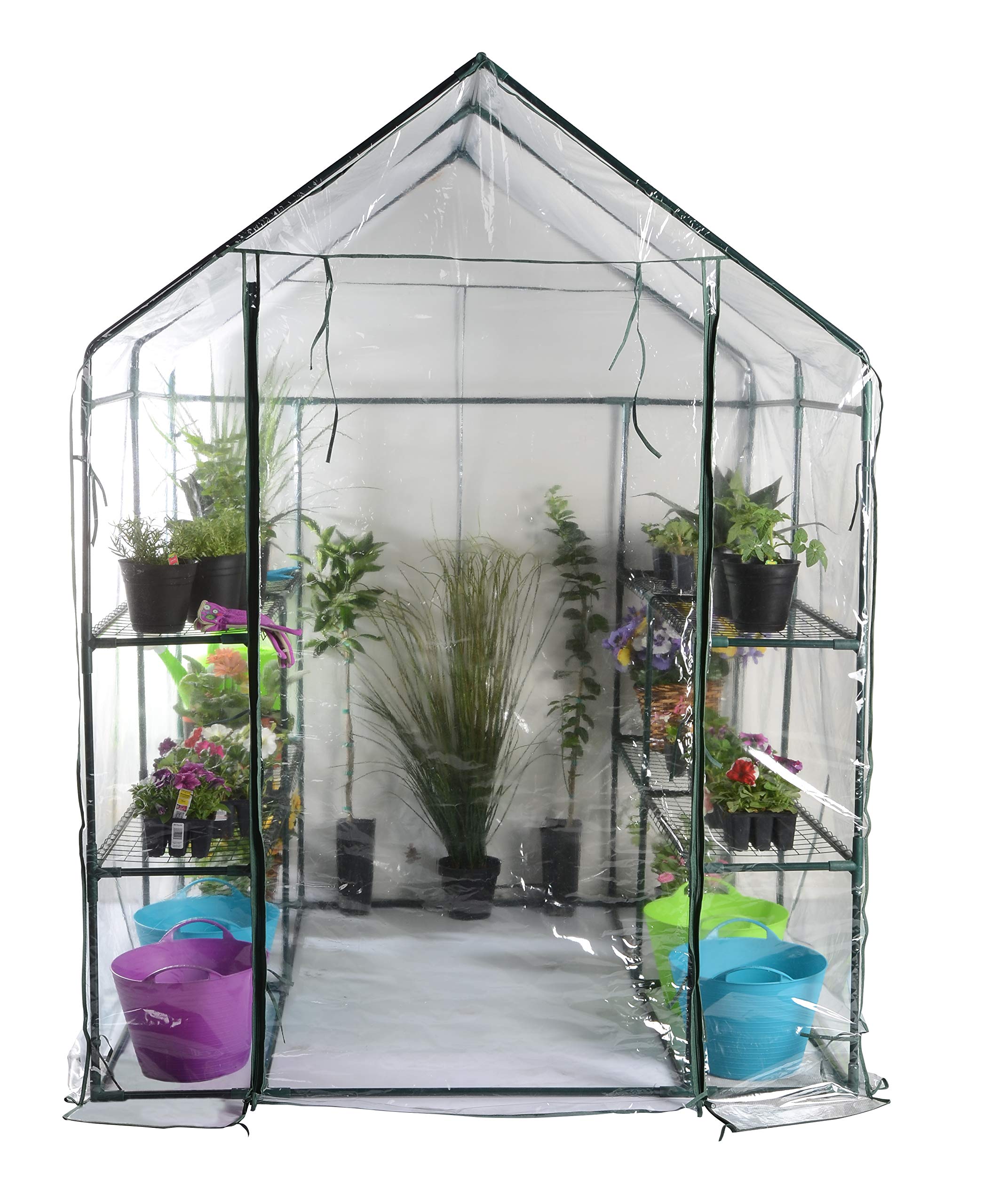 Bloom 63537 Large Walk-in Greenhouse - 6.5' x 6.5' x 6.7' Outdoor Plant Protection Tent with Durable PE Cover & Steel Frame - Perfect for Gardening, Seed Starting, Plant Growing in Backyard, Patio or Balcony