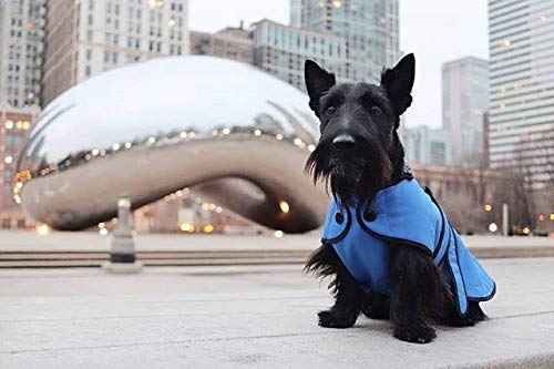 Waterproof Windproof Breathable Winter Dog Coat for Small Medium Large Breeds - Muttluks Insulated Belted Dog Jacket for Cold Weather, Snow, Rain & Outdoor Adventures