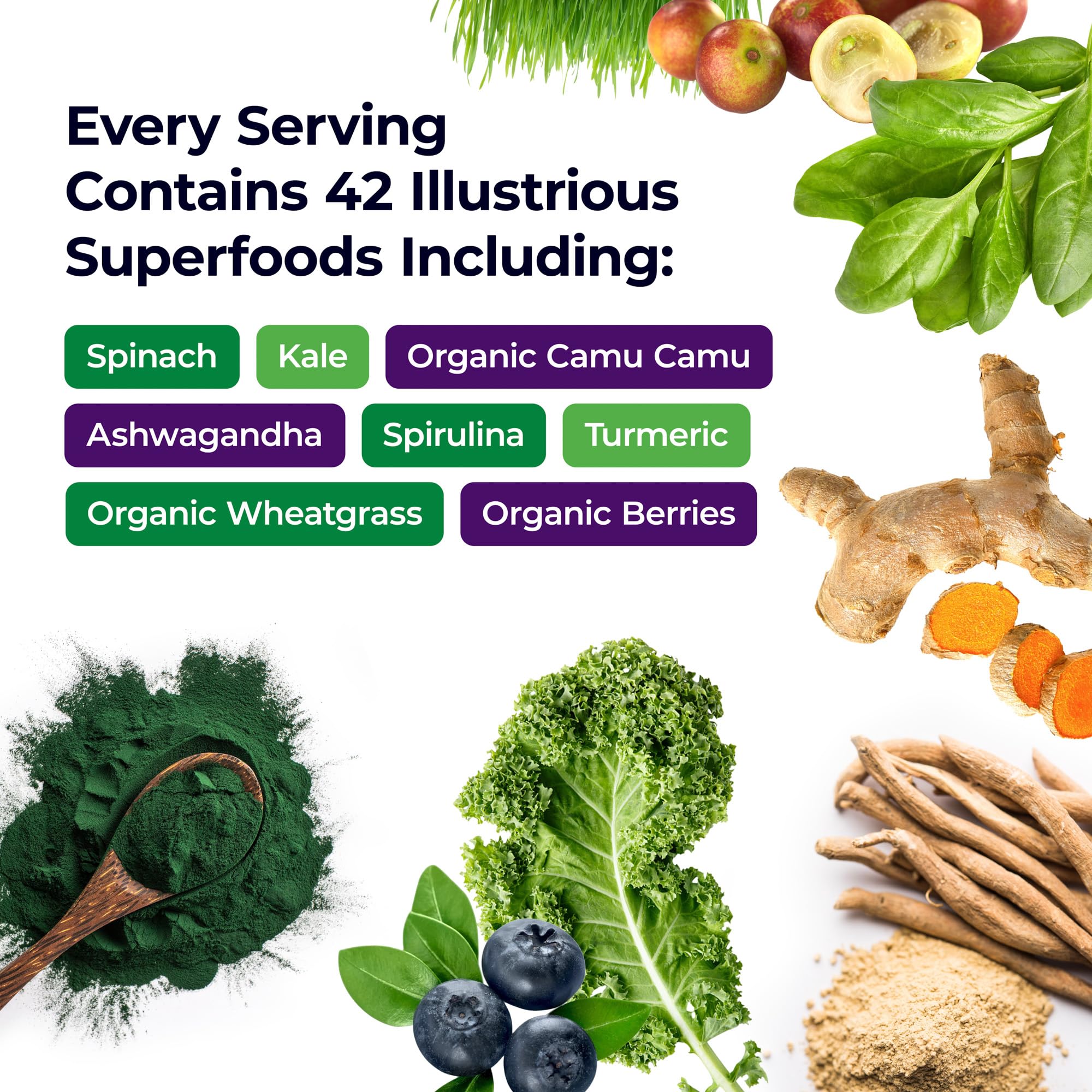 Paradise Herbs ORAC Energy Greens Powder - Superfood Antioxidant Supplement with 24 Servings of Fruits & Vegetables per Scoop, 120 Servings - Boost Energy & Immunity for Active Lifestyles