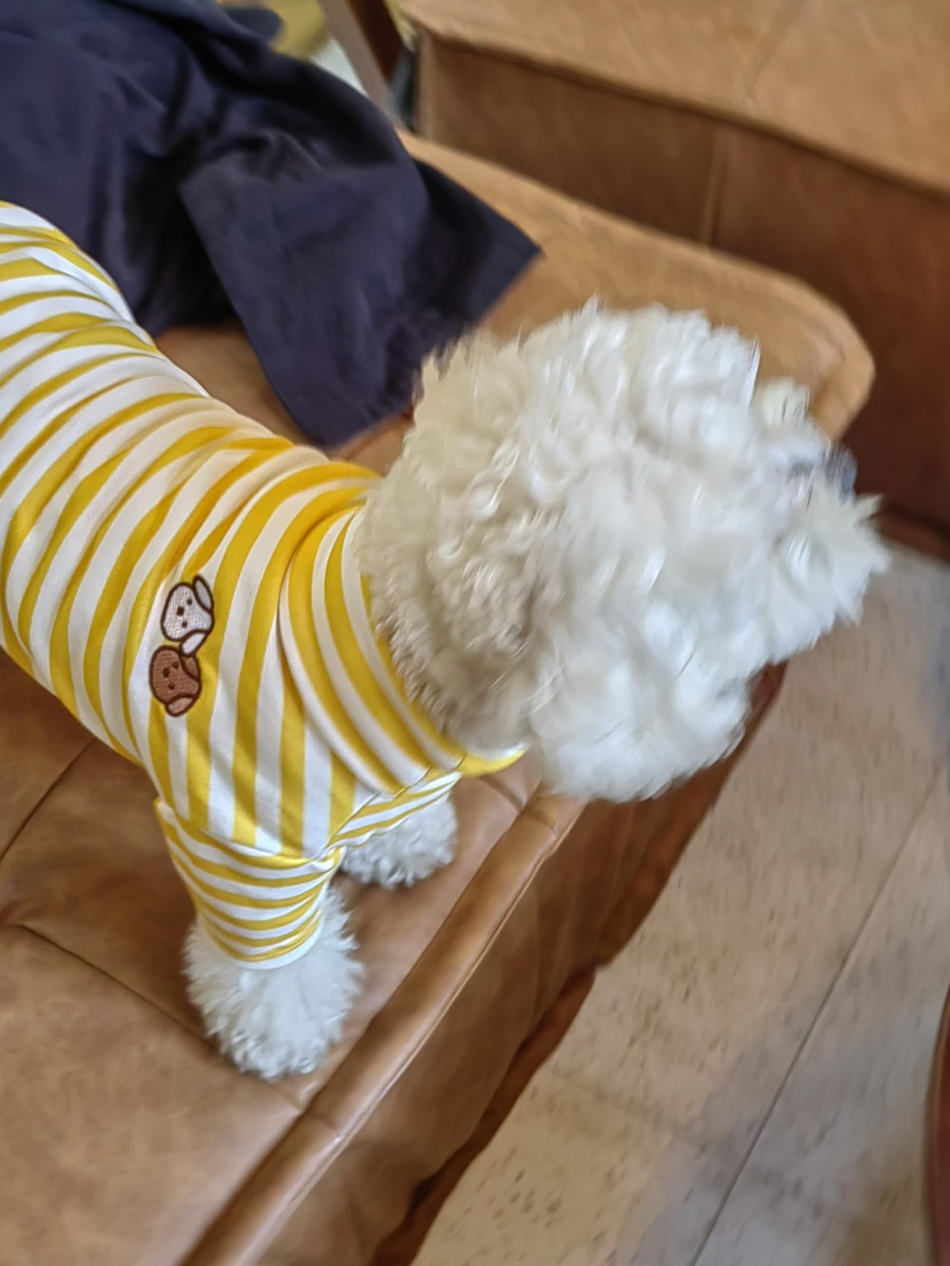 Cute Striped Turtleneck Dog Sweater - Super Soft & Stretchy Embroidered Puppy Pullover for Small Medium Large Dogs & Cats (Yellow, Small) - Perfect for Winter Walks & Indoor Cozy Time