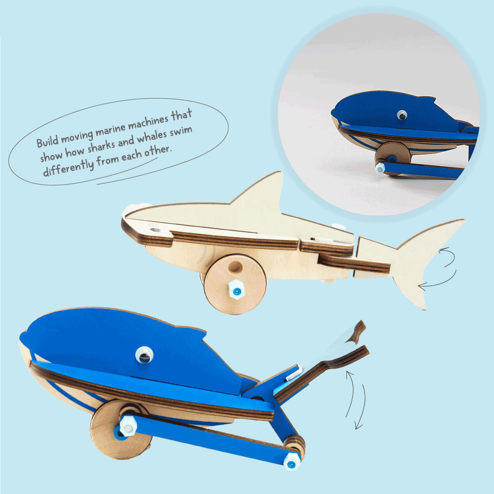 Marine Biologist Starter Kit - Complete Ocean Exploration Tools for Beginners | Perfect for Students, Hobbyists & Marine Science Enthusiasts | Use for Beach Exploration, Classroom Learning & Science Projects