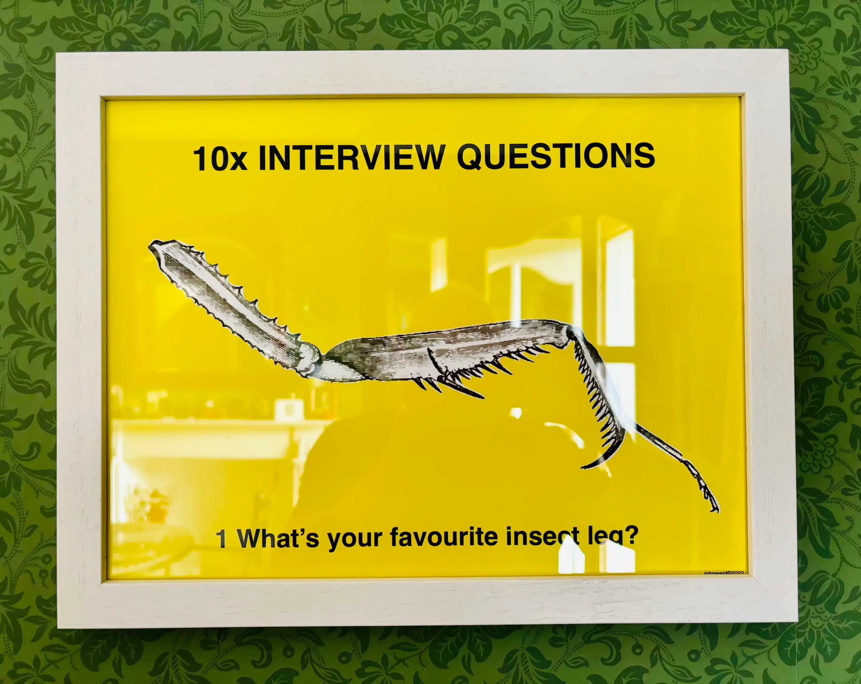 John Waid's Favorite Insect Leg - Unique Collectible for Entomology Enthusiasts | Perfect for Science Classrooms, Nature Displays & Bug Lovers