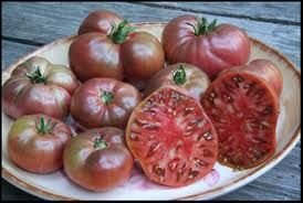 Cherokee Purple Tomato Heirloom Seeds - Non-GMO, 1,200 Count - Premium Garden Vegetable Seeds by Seed Kingdom | Perfect for Home Gardening, Organic Farming & Sustainable Agriculture