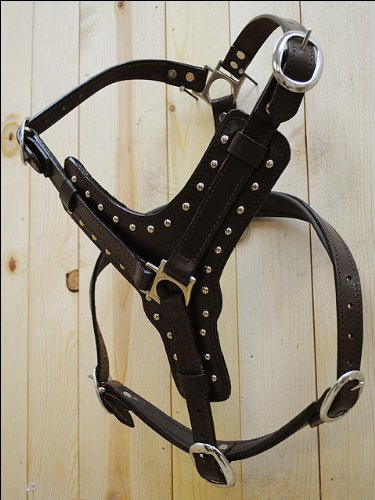 HILASON Genuine Leather Dog Harness & Leash Set - Brown Small | Adjustable & Durable for Small Dogs | Perfect for Walking, Training & Outdoor Adventures