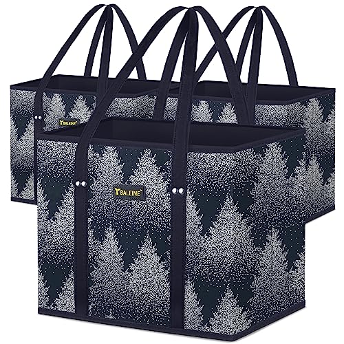 Frost Abies