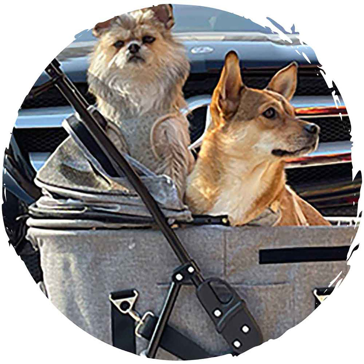 BELLO 4-Wheel Swivel Foldable Dog Stroller with Detachable Basket - Large Version (Pet Weight Capacity: 17kg) - Perfect for Outdoor Walks, Shopping Trips & Pet Travel