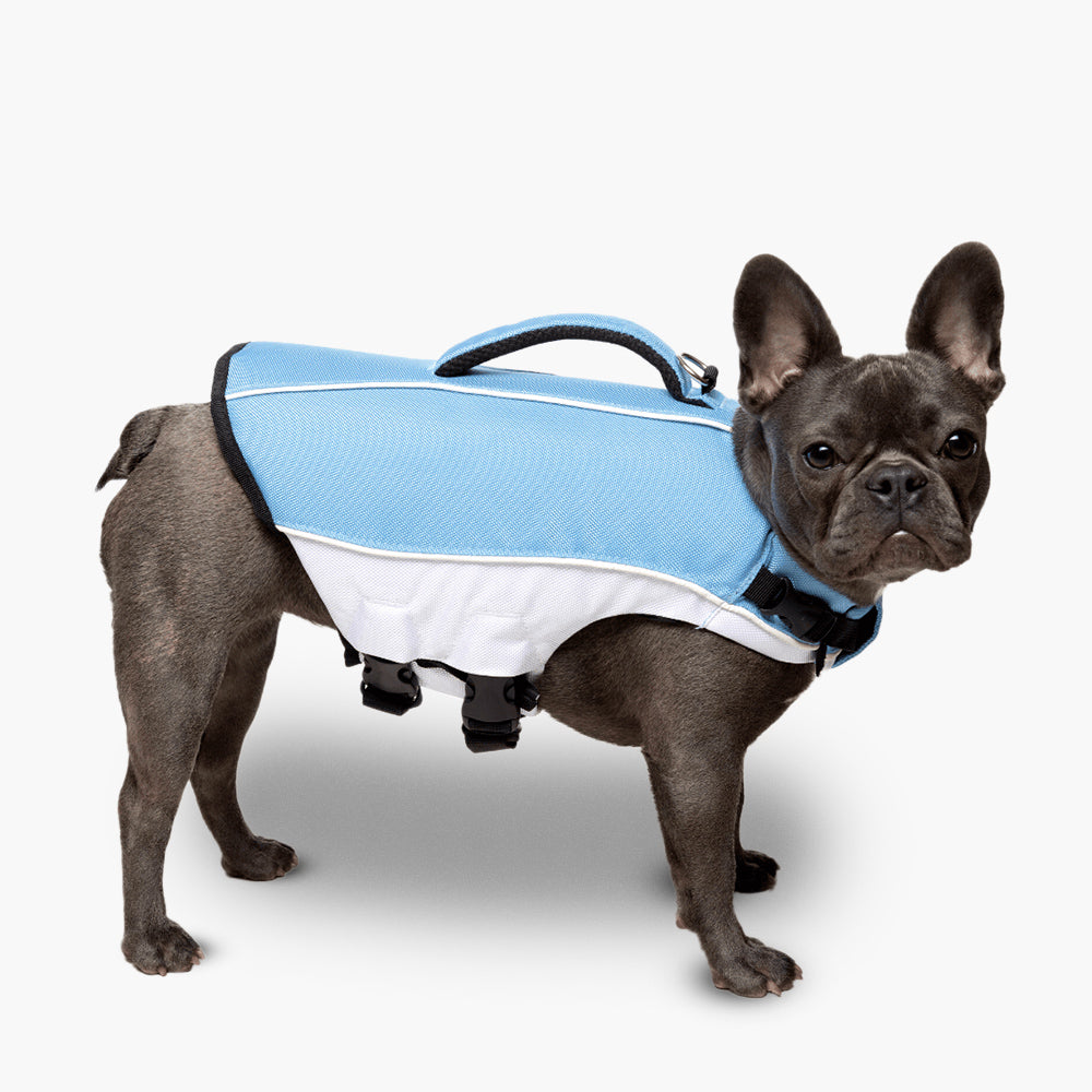 Dog Life Jacket for Swimming & Boating - Safe & Comfortable Dog Floatation Vest with Handle, Sky Blue - Perfect for Water Activities, Pool, Beach & Lakeside Adventures
