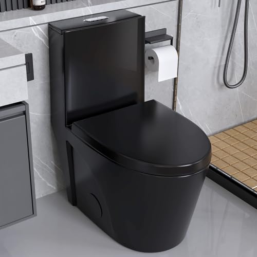 Black(Dual Flush 01)