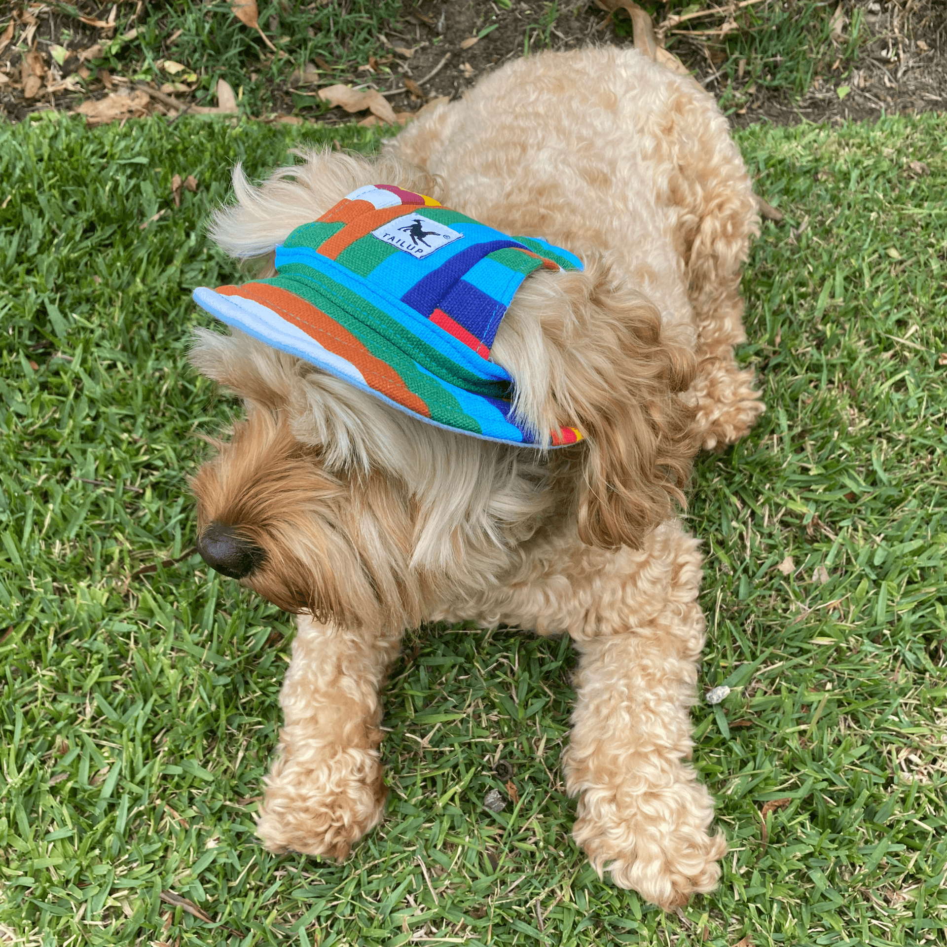 UV Protection Dog Sun Hat with Wide Brim - Breathable & Adjustable Pet Sun Hat for Outdoor Activities, Beach, Hiking, and Summer Adventures