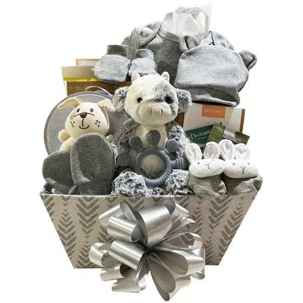 New Mom & Newborn Baby Gift Basket - Premium Care Package with Essentials for Postpartum & Infant Care - Perfect Baby Shower, Hospital, or Welcome Home Gift (SKU: CBC1016)