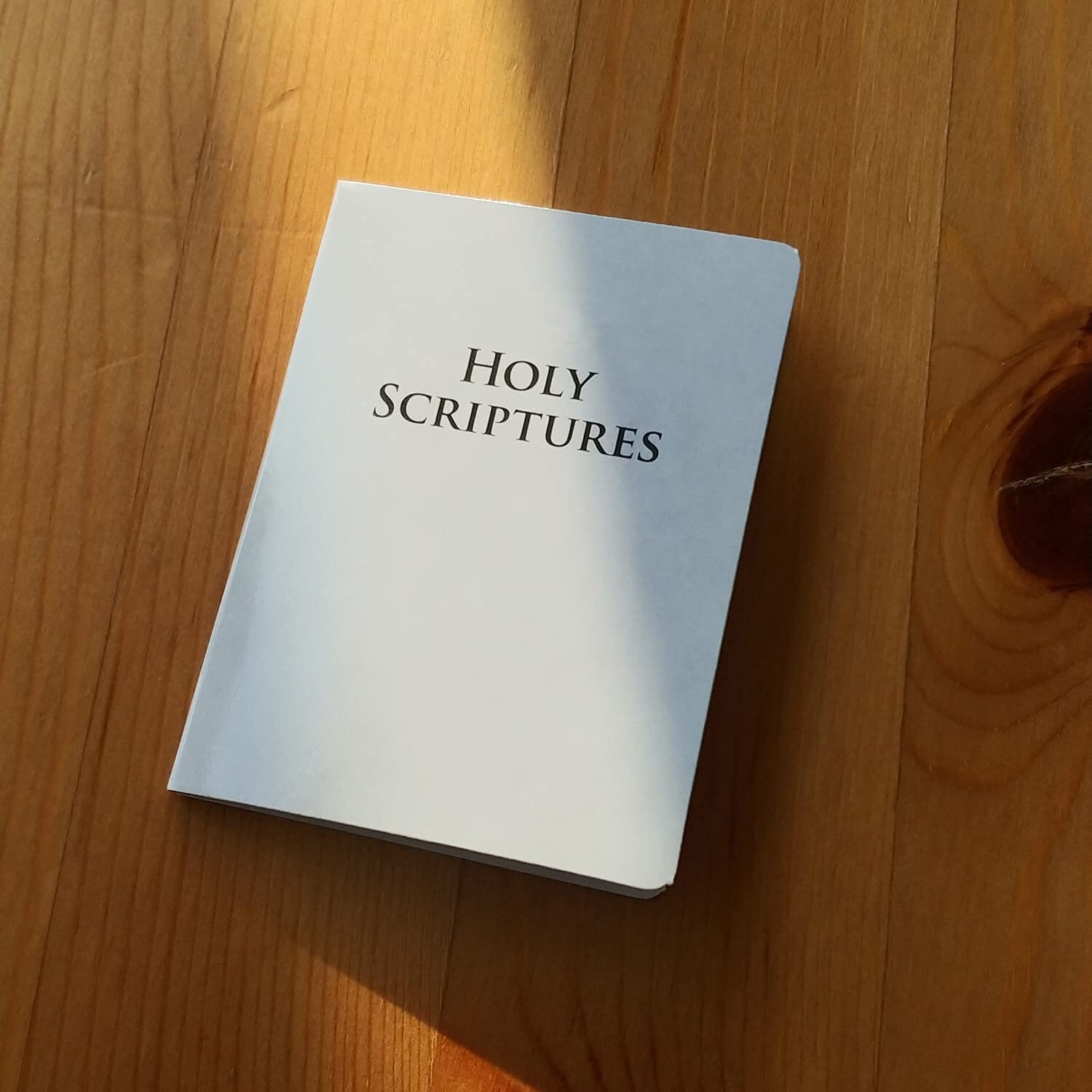 12 Pads Jehovah Witness Bible Sticky Notes - Inspirational Scripture Stickers for JW Ministry, Bible Study & Gift Giving - Perfect for JW.org Conventions, Pioneer Work, Kids, Women & Men Bible Study Accessories