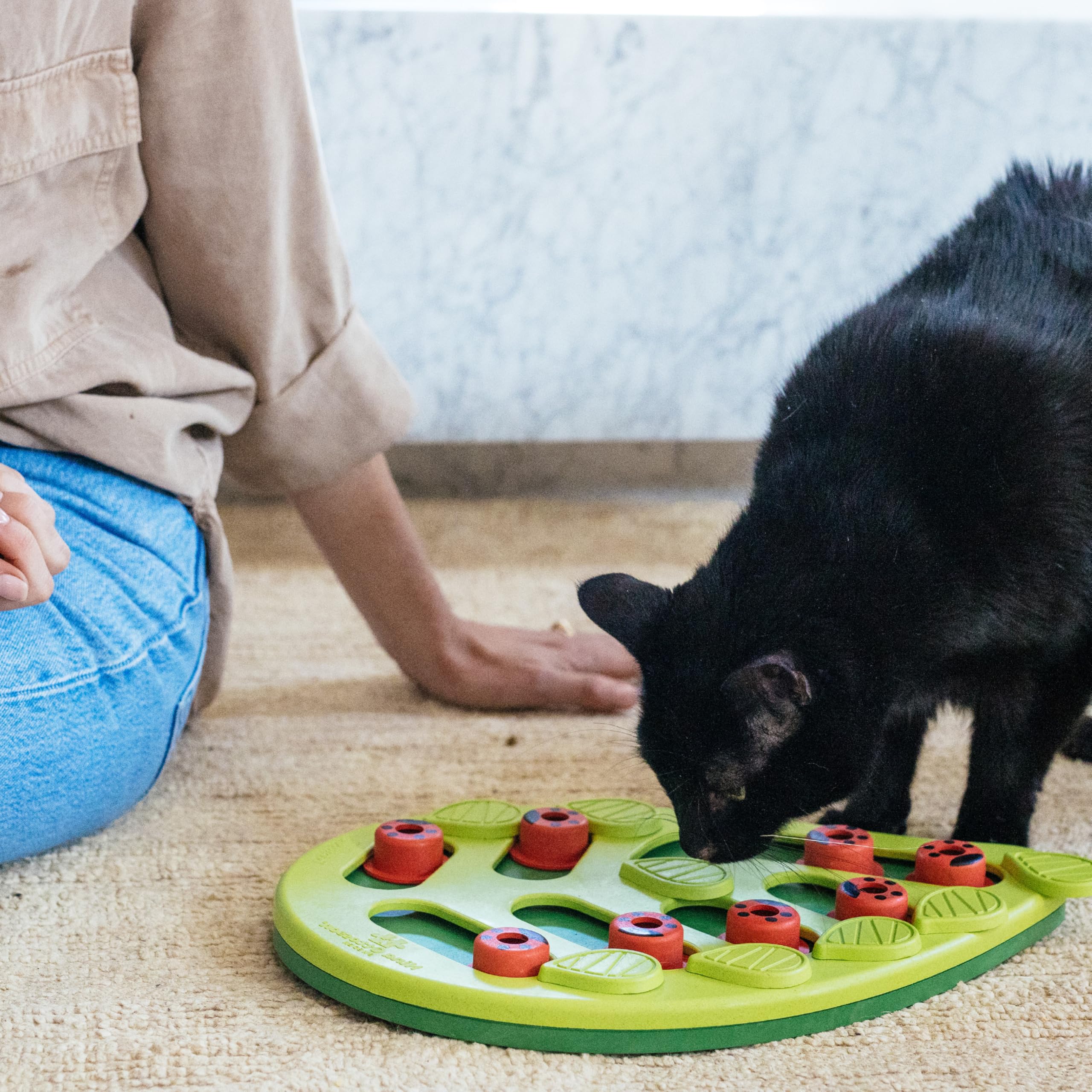Nina Ottosson Buggin' Out Puzzle & Play - Interactive Cat Treat Puzzle Toy for Indoor Cats - Fun Mental Stimulation & Slow Feeding Game for Kittens & Adult Cats (Perfect for Boredom Relief & Mealtime Enrichment)