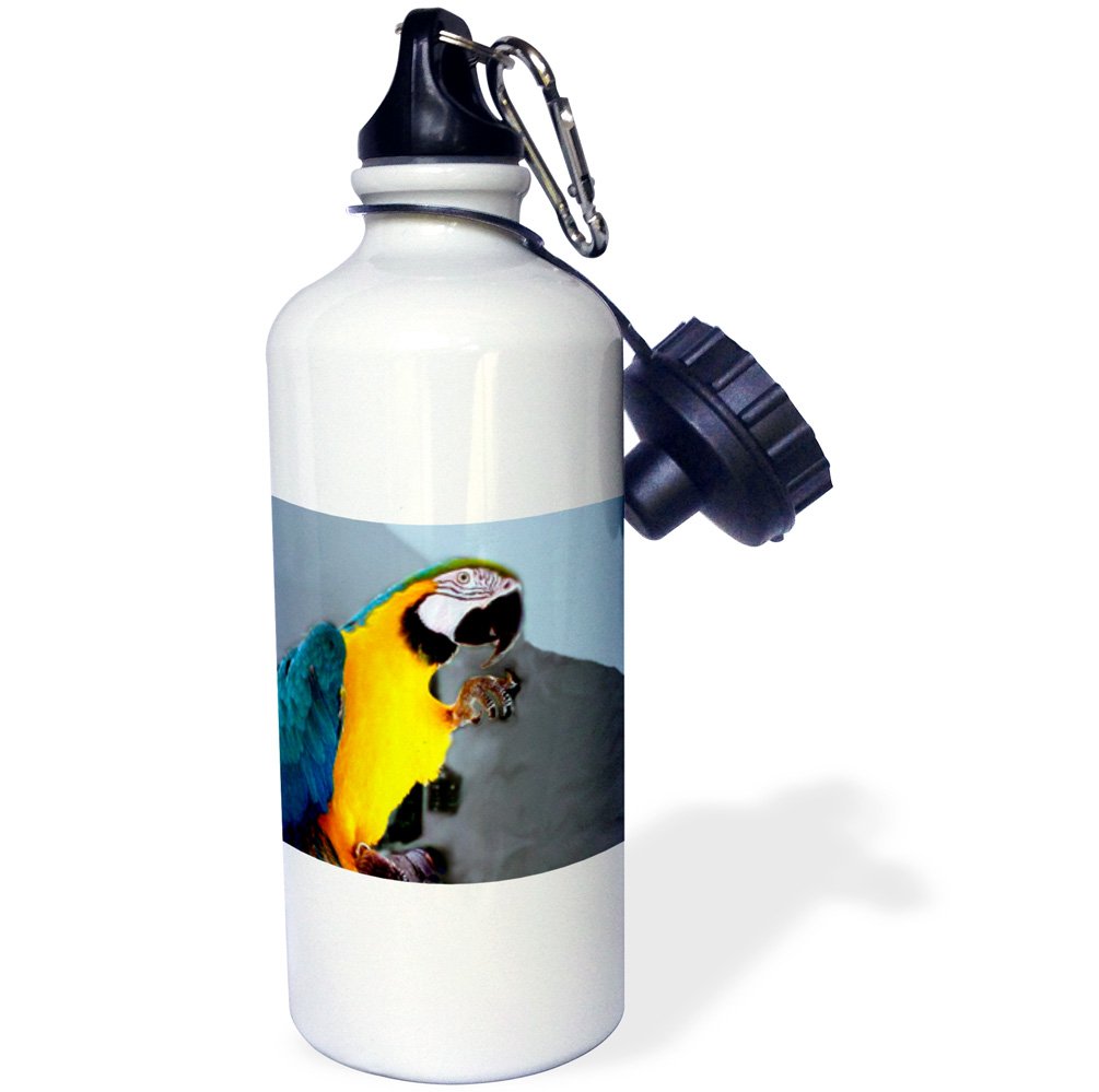 3D Rose Blue and Gold Macaw Sports Water Bottle - 21 oz Insulated Stainless Steel White - Perfect for Gym, Hiking & Outdoor Activities