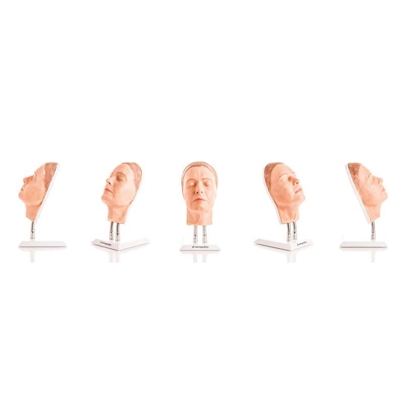 Professional Facial Injection Head Model for Medical Training - Light Skin Young Woman (Version A) - Ideal for Cosmetic Procedure Practice & Aesthetic Education