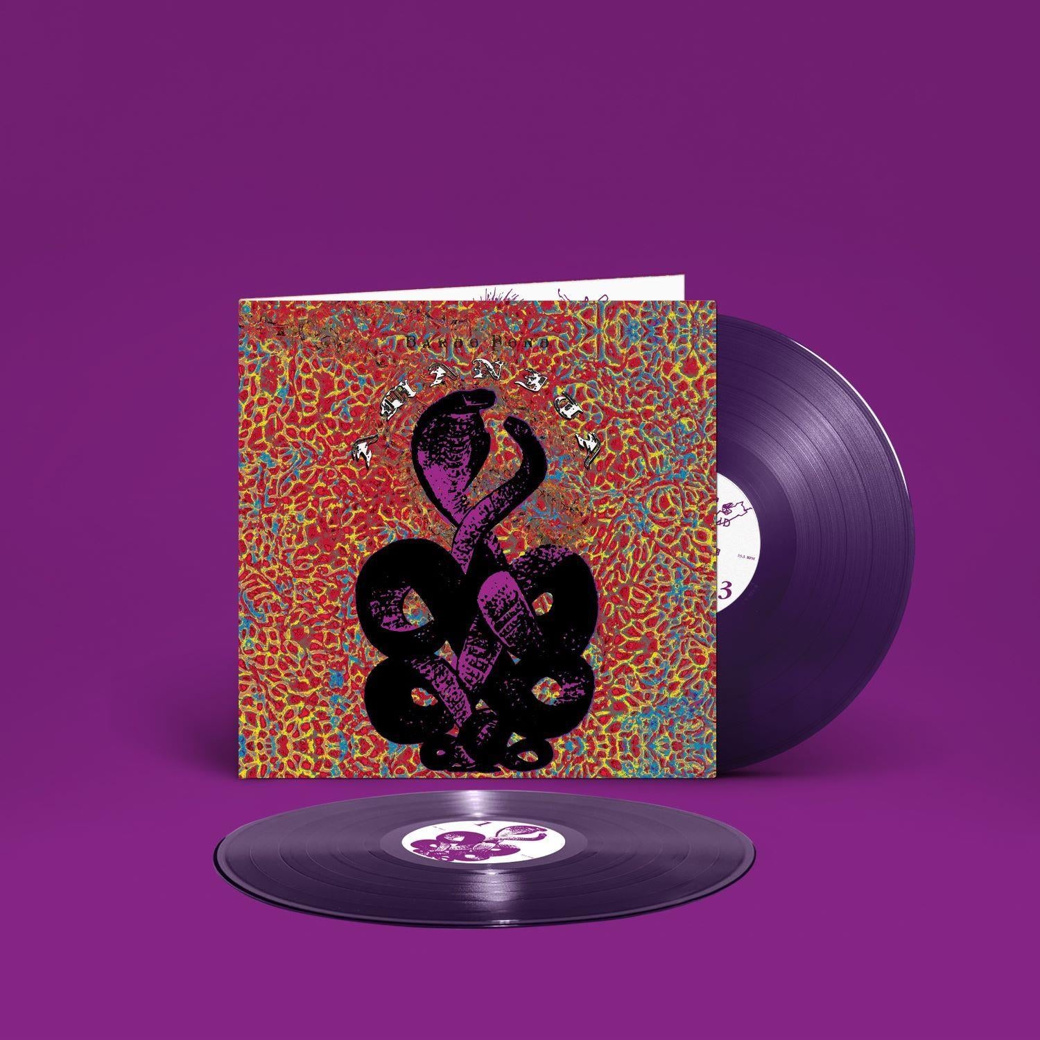 Amanita (25th Anniversary Limited Edition Purple Vinyl) - Collector's Edition Psychedelic Rock LP - Perfect for Vinyl Enthusiasts & Music Collectors - Great for Home Listening, Gifts & Special Occasions