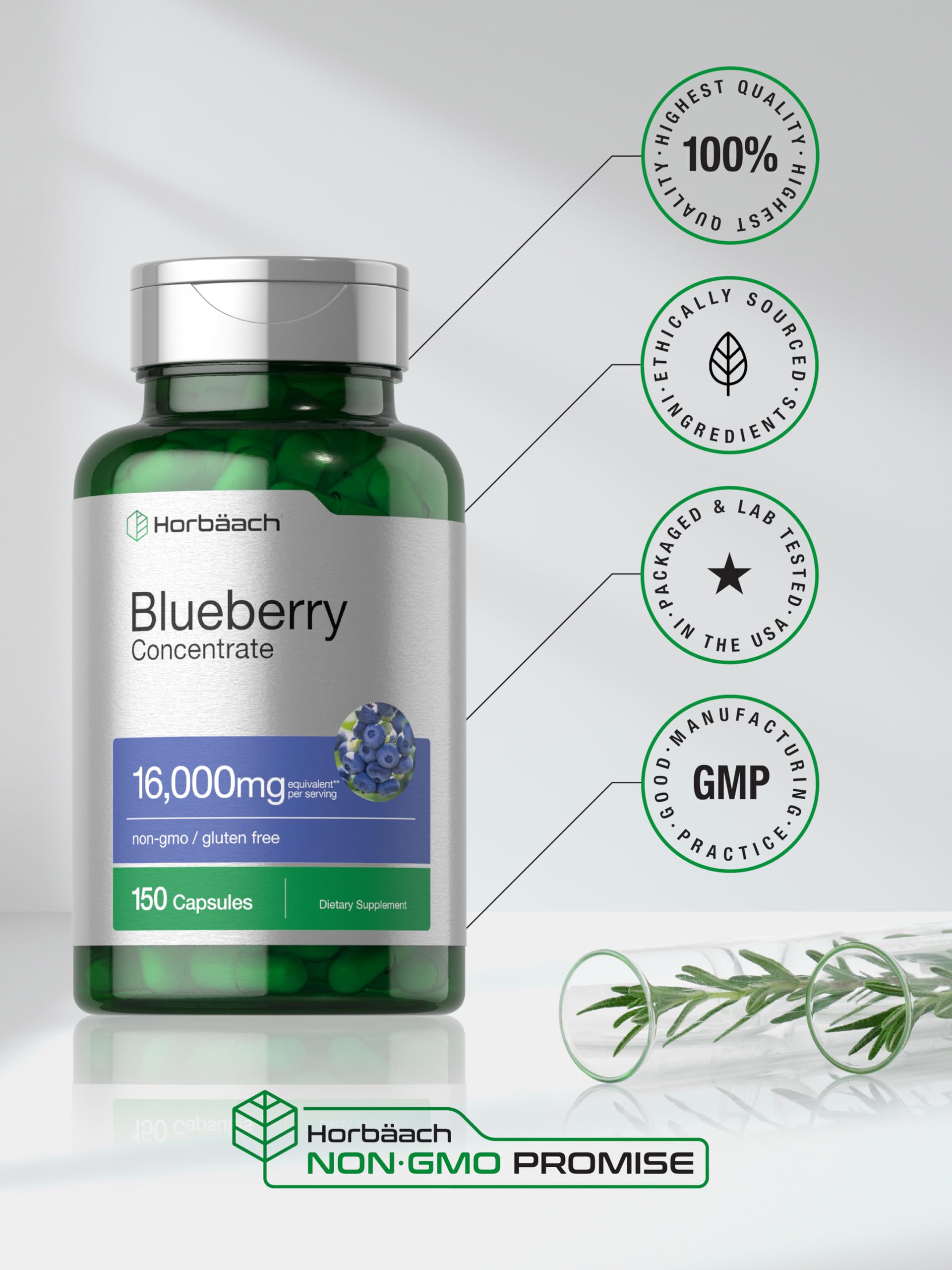 Horbäach Blueberry Extract Supplement 150 Capsules | High Potency Blueberry Concentrate | Non-GMO, Gluten Free, Vegan | Supports Eye Health & Antioxidant Benefits | Perfect for Daily Wellness Routine
