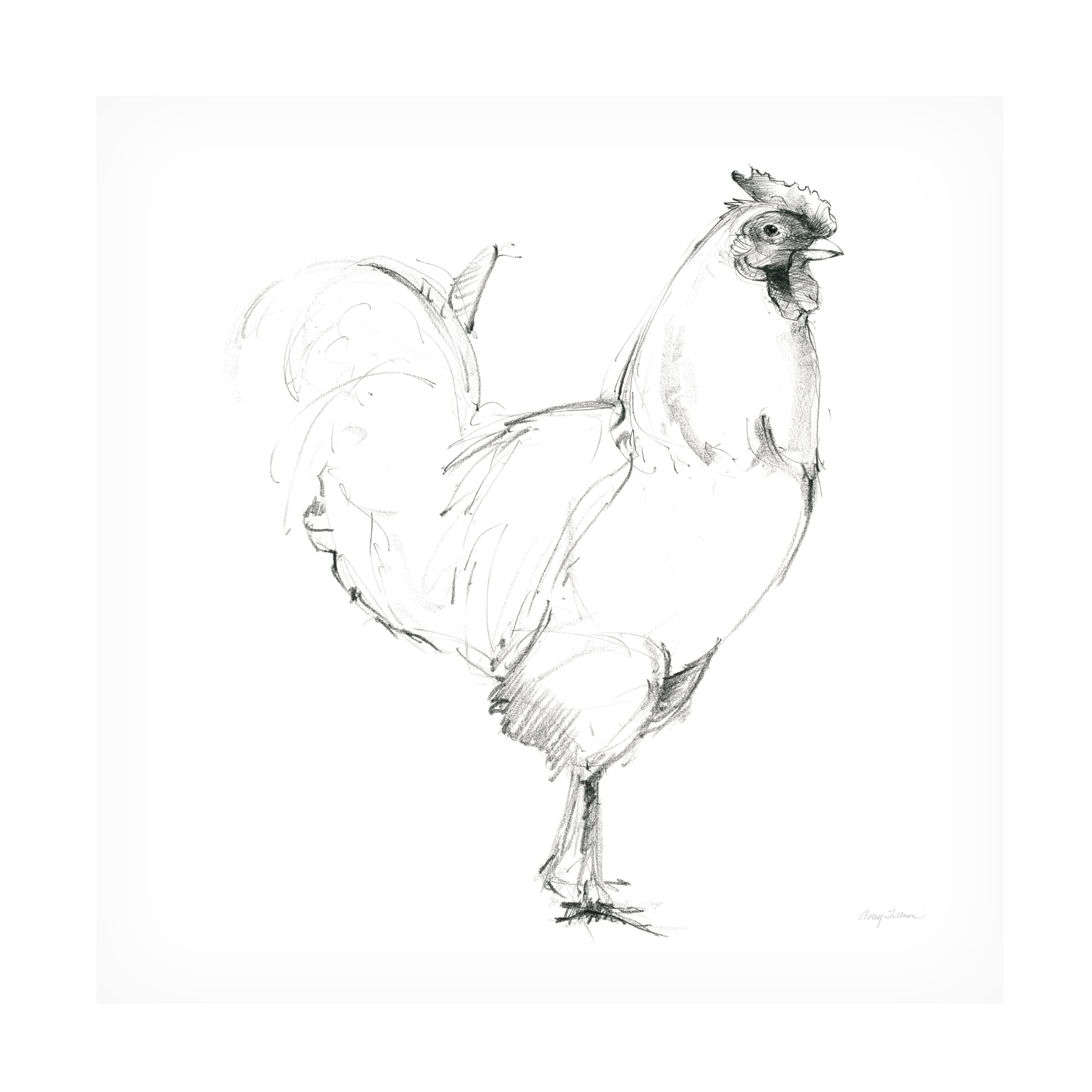 Trademark Fine Art 'Rooster II Dark Square' Canvas Wall Art by Avery Tillmon - 35x35 Inches, Modern Farmhouse Decor for Living Room, Bedroom & Office