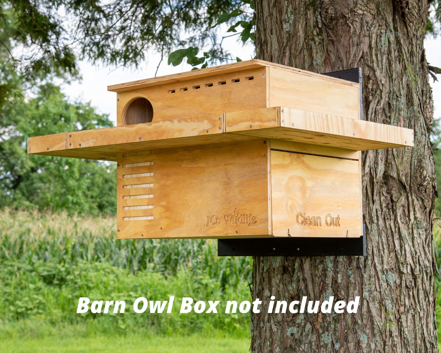 JC's Wildlife Exercise Platform for Barn Owl Nesting Box - Durable Outdoor Perch for Birds of Prey | Perfect for Wildlife Observation & Nesting Support