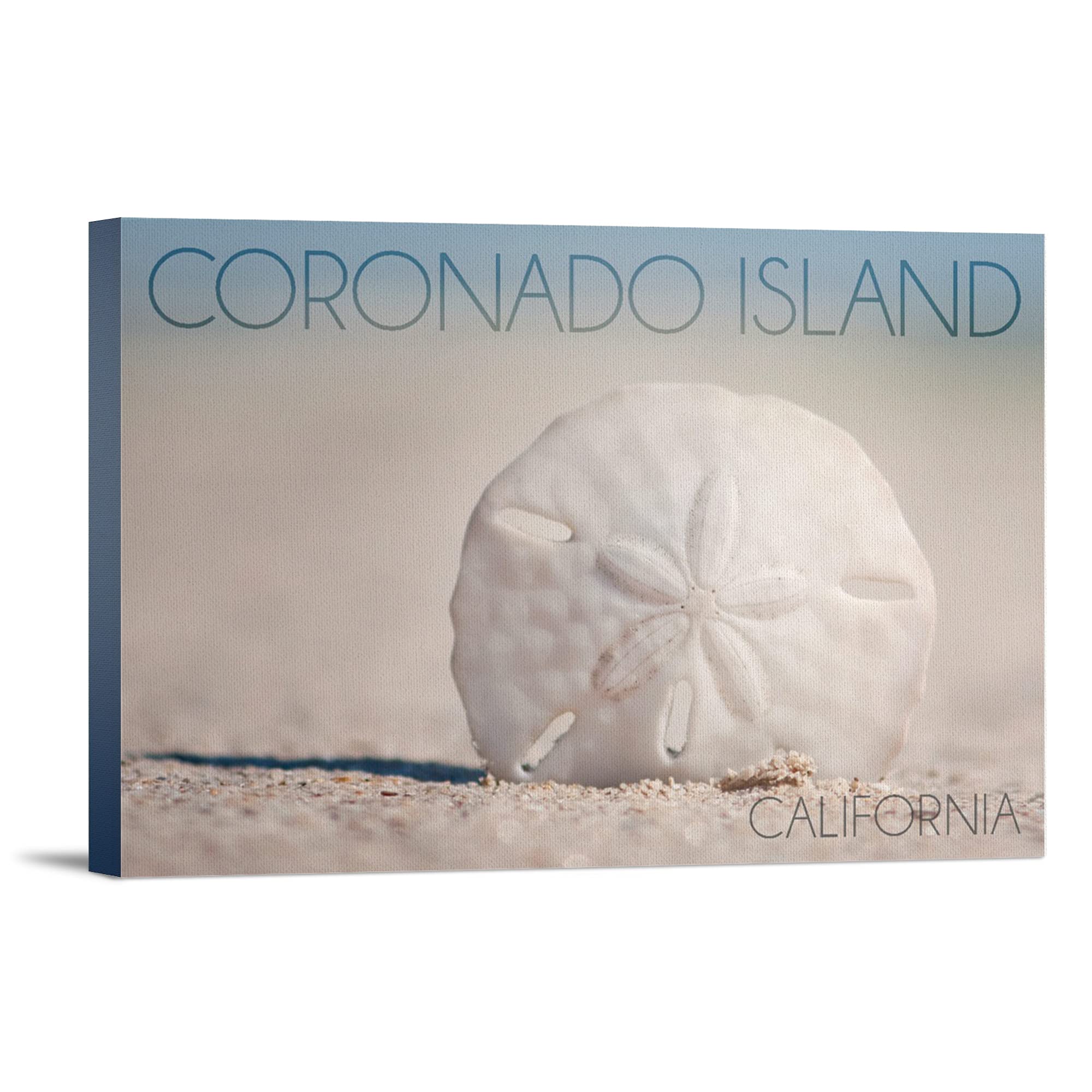 Coronado Island California Sand Dollar Beach Wall Art - 36x24 Gallery Wrapped Canvas Print for Coastal Home Decor & Beach House Living Room